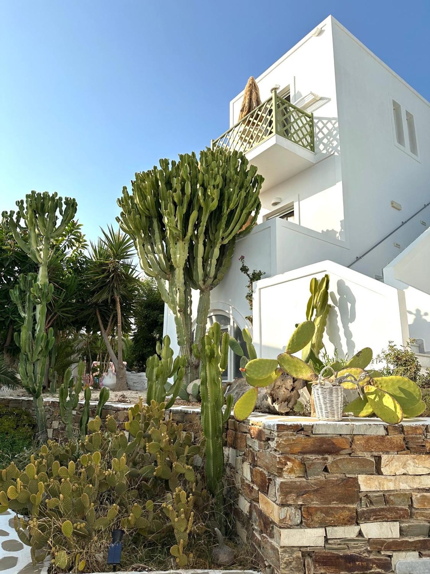 Artemis Hotel Antiparos Città Esterno foto